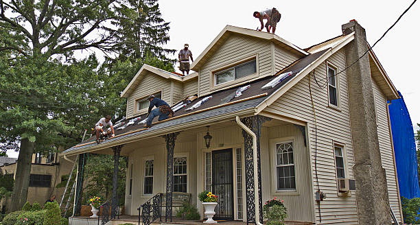 Best Metal Roofing Contractor  in Albuquerque, NM